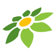 LINK CASINO MOBILE